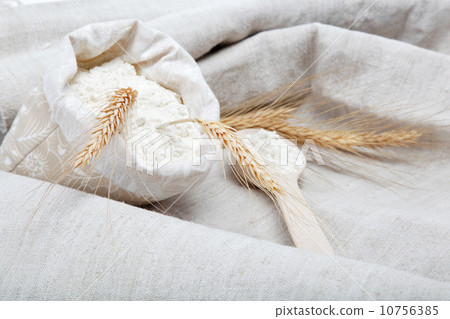 Flour and wheat grain on sackcloth Flour and wheat grain on sackcloth 10756385