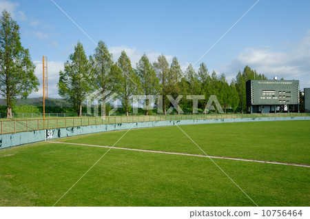 Ballpark外場邊和白楊aki 10756464