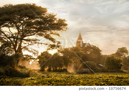 Amazing golden sunset at Bagan, Myanmar (Burma) 10756674