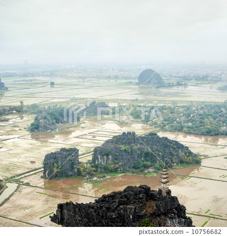 Rice fields panorama view from Hang Mua Temple. Ninh Binh, Vietnam Rice fields panorama view from Hang Mua Temple. Ninh Binh, Vietnam 10756682