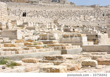 Graves on the Mount of Olives 10756842