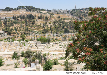 Mount of Olives from the walls of Jerusalem. Mount of Olives from the walls of Jerusalem. 10757766