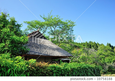 Sagano Okinikan Sagano Okinikan 10758188