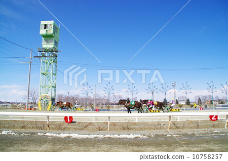 Banged賽馬 Banged賽馬 10758257