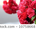 玫瑰鮮花 10758668