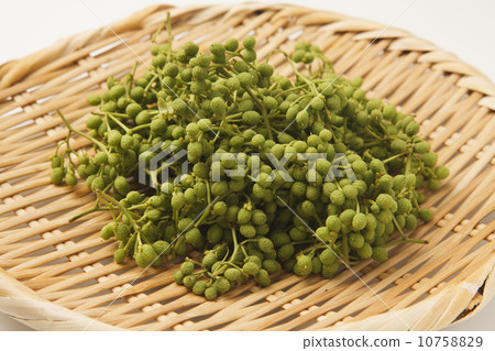 Real Japanese pepper Real Japanese pepper 10758829