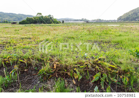 空閒的田野 空閒的田野 10758981