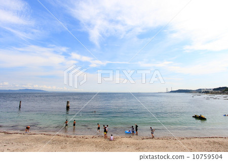 神奈川縣/三浦半島 神奈川縣/三浦半島 10759504