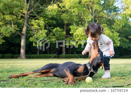 女孩和杜賓犬 女孩和杜賓犬 10759724