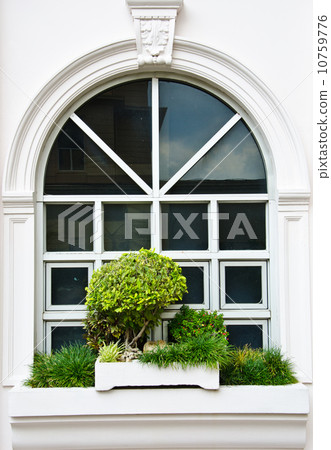 White window White window 10759776