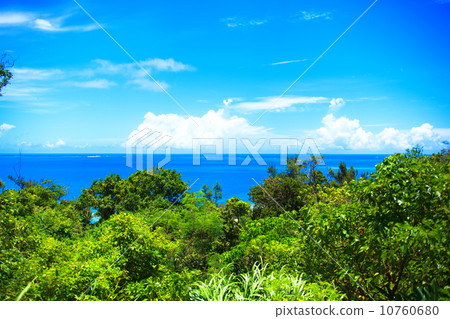 Funami Utagi 10760680