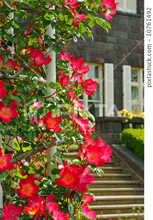 Old Furukawa Garden · Rose and Western-style building (Otani Art Museum) 10761492