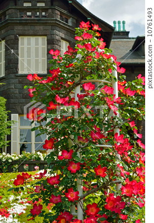 Old Furukawa Garden · Rose and Western-style building (Otani Art Museum) 10761493