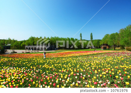 Takino Suzuran Hill Park, an exquisite landscape of Hokkaido 10761976