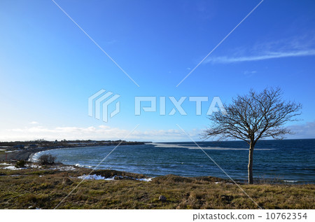 Early spring at coastline 10762354