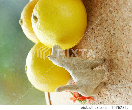 貓 10762812