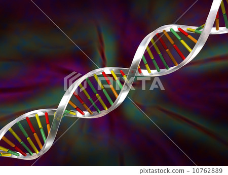 DNA Strand DNA Strand 10762889