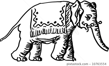 Elephant Elephant 10763554