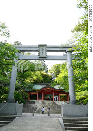 Katori Jingu Shrine Torii Torii 10763992