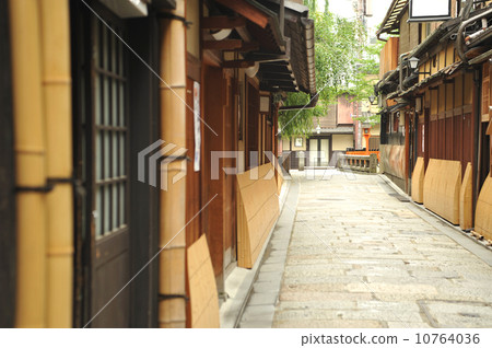 京都祗園樹樁 京都祗園樹樁 10764036