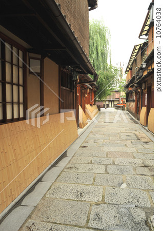 京都祗園樹樁 10764038