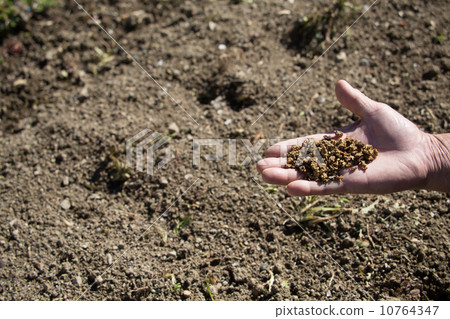 地球和手 10764347