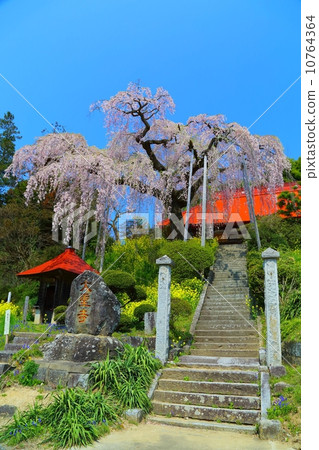 Benicidal of the Daiei Temple 10764364
