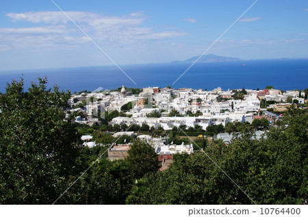 Capri city and Ischia 10764400