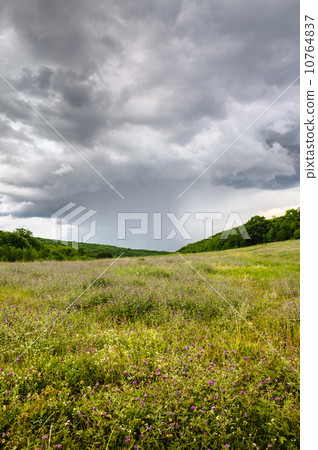 Rain on the meadow 10764837