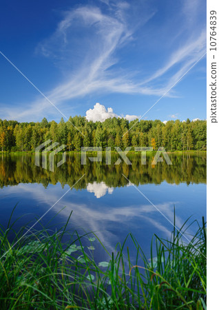 Northern river and woods 10764839