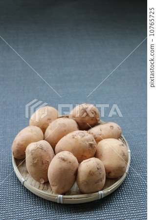 新土豆垂直 10765725