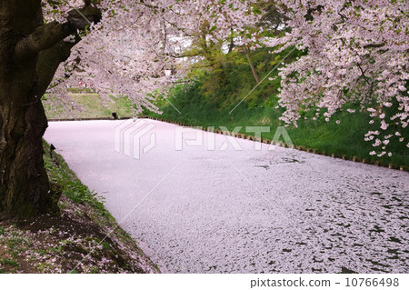 弘前城弘前青森 弘前城弘前青森 10766498