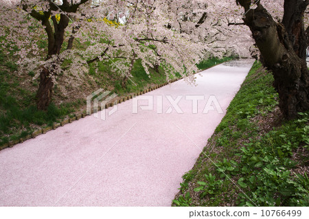 Hirosaki Castle Hirosaki Aomori 10766499