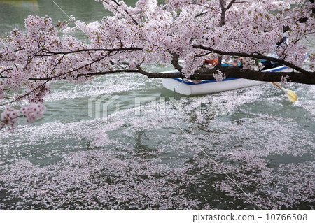 Hirosaki Castle Hirosaki Aomori 10766508
