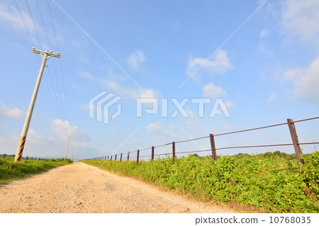 Country road Country road 10768035