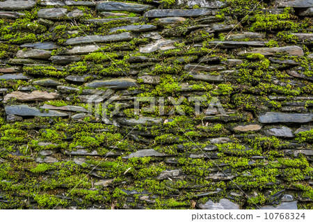 Stone wall with green moss Stone wall with green moss 10768324