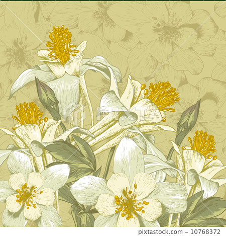 Beautiful Background with White Blooming Flowers 10768372