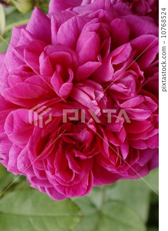 黑暗準備01 10768524