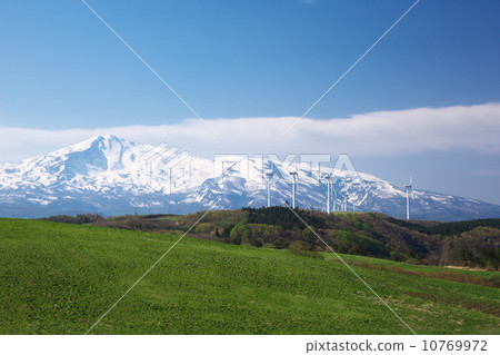 Akita Nakaho-shi 10769972