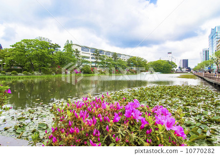 秋田市·千秋公園 10770282