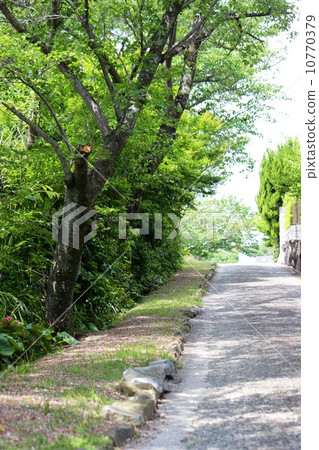 road road 10770379