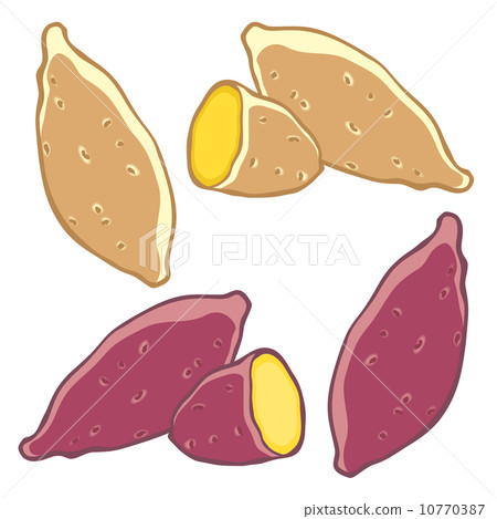sweet potato sweet potato 10770387