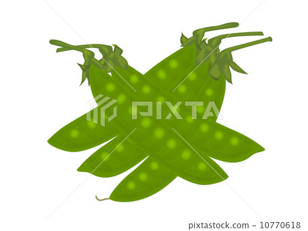 豌豆 豌豆 10770618