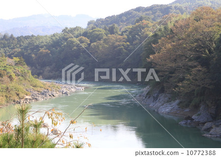 Yoshinogawa 10772388