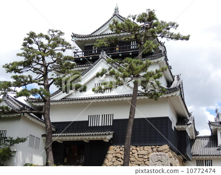 Okazaki Castle 10772474