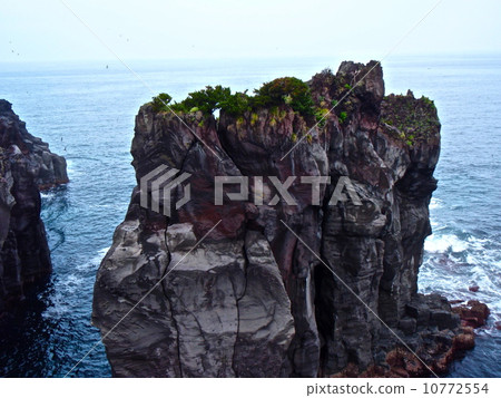 重崎海灘（靜岡縣伊東市） 10772554
