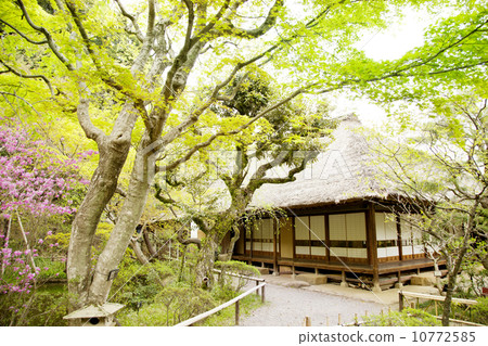 Japanese-style house  10772585
