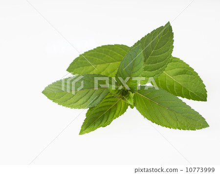 Aroma black peppermint Aroma black peppermint 10773999