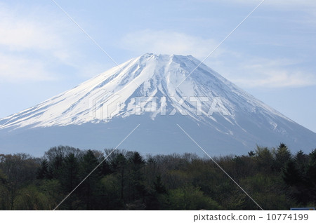 Mount Fuji 10774199