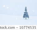 White Christmas 10774535